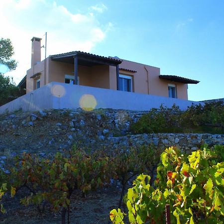 Villa Blue Horizon Kefalas Exterior foto